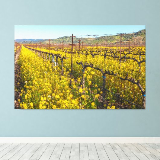 Lente bij Vineyard Canvas Afdruk (Insitu (Houten vloer))