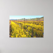 Lente bij Vineyard Canvas Afdruk (Voorkant)