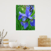 Lente blauwe iris bloemen en groene bladeren poster (Keuken)