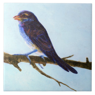 Lente Blauwe Vogel Keramische Tegel Tegeltje