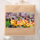 Lente bloedige etiket (Insitu)