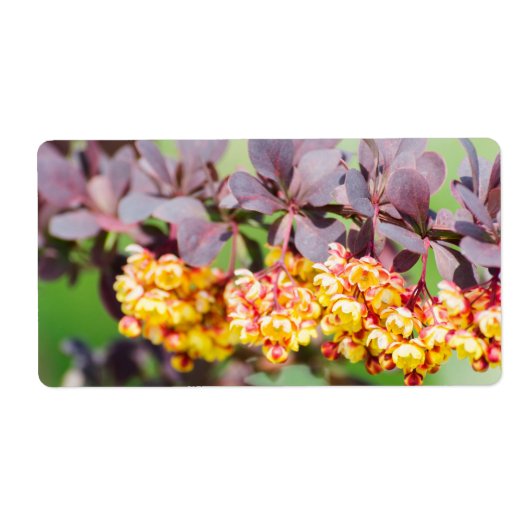 Lente bloedige etiket (Voorkant)