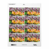 Lente bloedige etiket (Full Sheet)