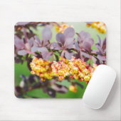 Lente bloedige muismat (Met muis)