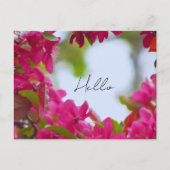 Lente Bloem Fotografie Briefkaart (Voorkant)