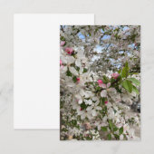 Lente bloem informatiekaartje (Voorkant / Achterkant)