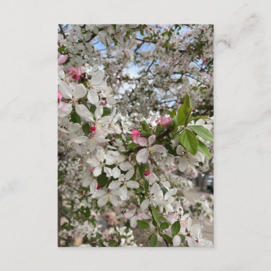 Lente bloem informatiekaartje (Voorkant)