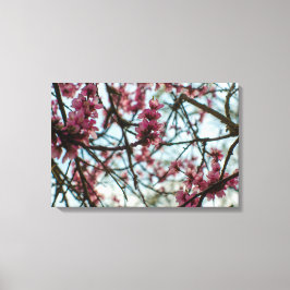 Lente bloemen aan een boom canvas afdruk