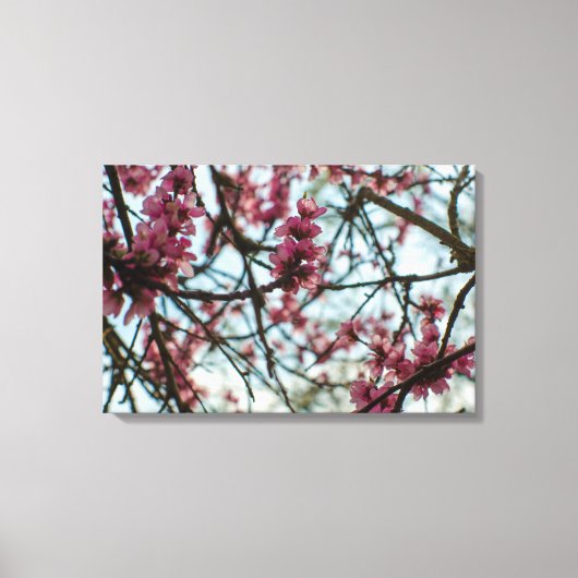 Lente bloemen aan een boom canvas afdruk (Voorkant)