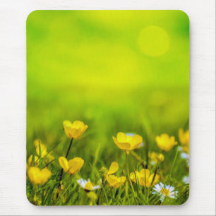 Lente Bloemen Achtergrond Muismat
