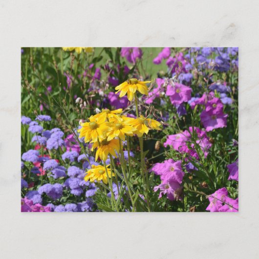 Lente bloemen briefkaart (Voorkant)
