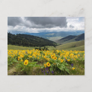 Lente bloemen in de heuvels briefkaart