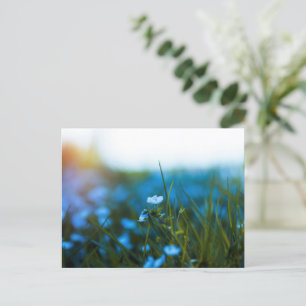 Lente bloemen in het veld briefkaart