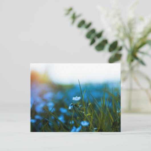 Lente bloemen in het veld briefkaart (Staand voorkant)