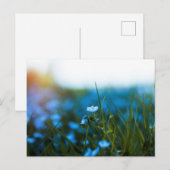 Lente bloemen in het veld briefkaart (Voorkant / Achterkant)
