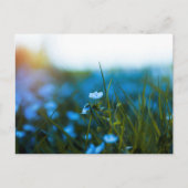 Lente bloemen in het veld briefkaart (Voorkant)