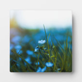 Lente bloemen in het veld fotoplaat (Voorkant)