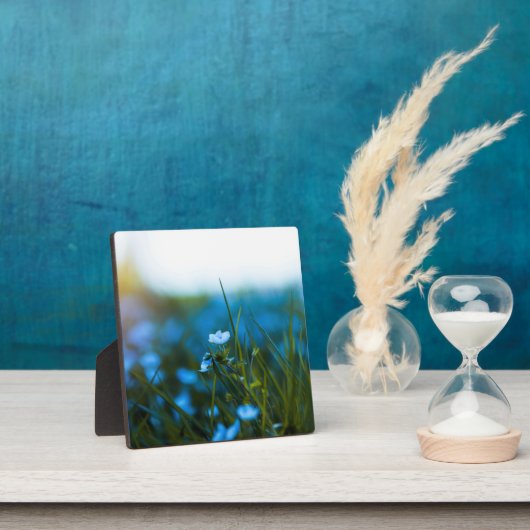 Lente bloemen in het veld fotoplaat (Insitu)