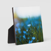 Lente bloemen in het veld fotoplaat (Voorkant)