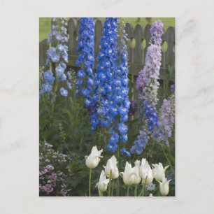 Lente bloemen langs een tuinpad, Georgia 2 Briefkaart