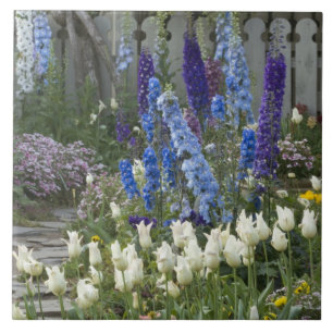 Lente bloemen langs een tuinpad, Georgia Tegeltje