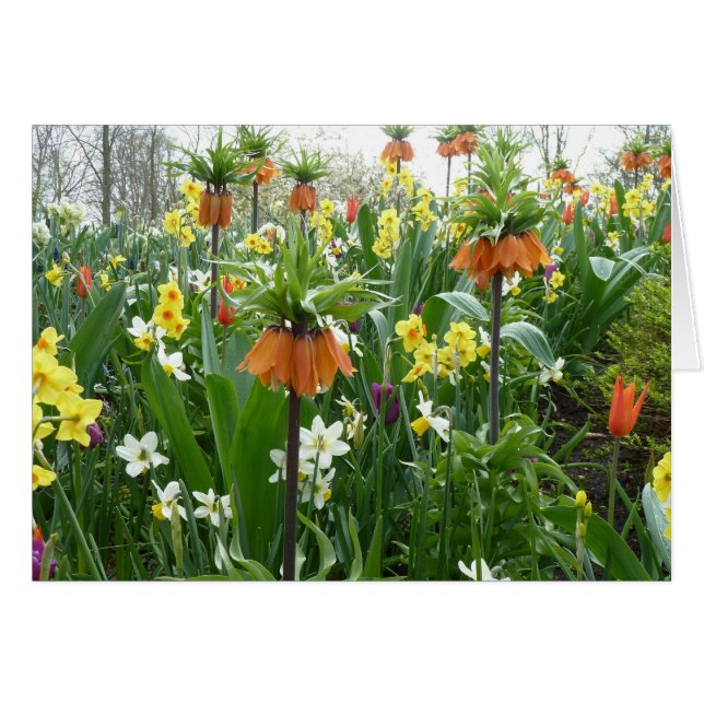 Lente bloemen leuk - geel en oranje (Voorkant Horizontaal)