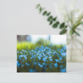 Lente bloemen op het veld briefkaart (Staand voorkant)