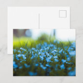 Lente bloemen op het veld briefkaart (Voorkant / Achterkant)