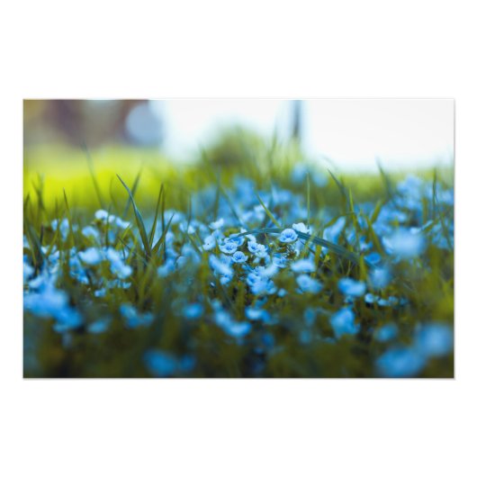 Lente bloemen op het veld foto afdruk (Voorkant)