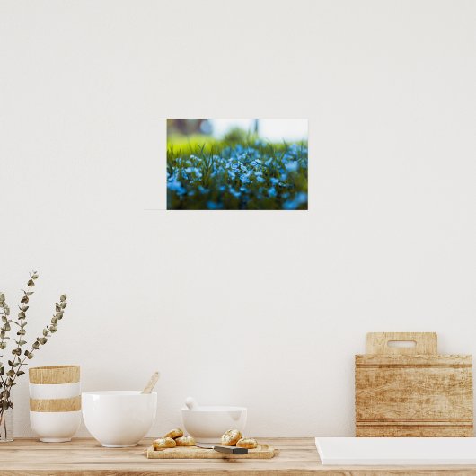 Lente bloemen op het veld poster (Keuken)