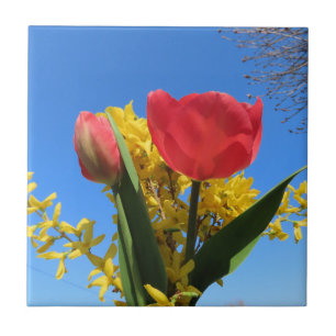 lente bloemen, tulpen, kleurrijk + bloemen, blauw tegeltje