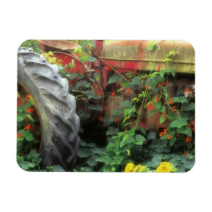 Lente bloemen versieren een oude tractor. magneet