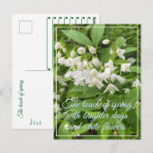 Lente bloemenfeest briefkaart (Voorkant / Achterkant)
