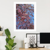 Lente Bloesem Poster (Thuiskantoor)