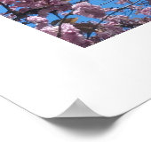 Lente Bloesem Poster (Hoek)