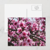 Lente bloesems briefkaart (Voorkant / Achterkant)