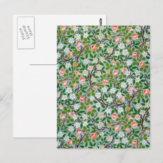 Lente bloesems briefkaart (Voorkant / Achterkant)