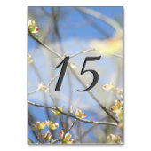 Lente bloesems kaart (Achterkant)