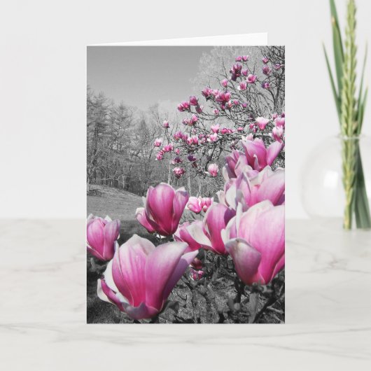 Lente bloesems kaart (Voorkant)