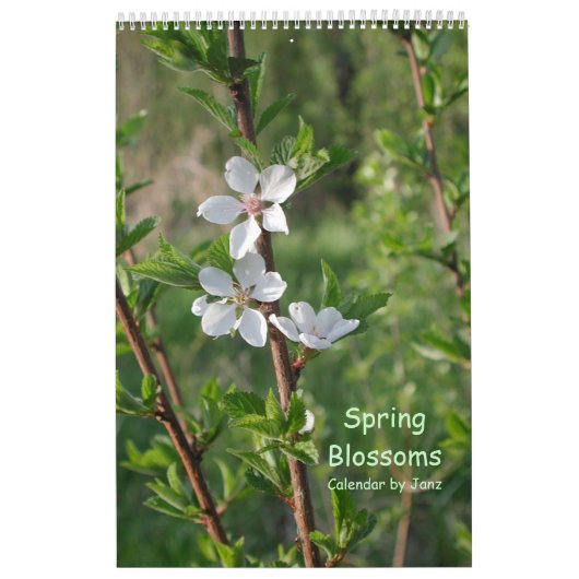 Lente bloesems-kalender van Janz Kalender (Hoes)