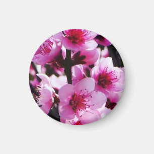 Lente bloesems magneet