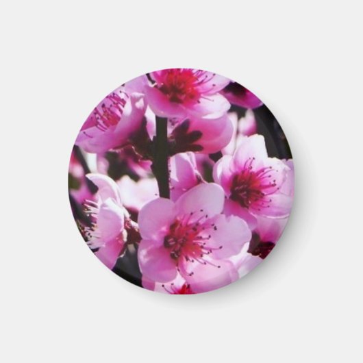Lente bloesems magneet (Voorkant)