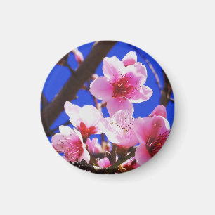 Lente bloesems magneet