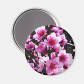 Lente bloesems magneet (Voorkant / Achterkant)