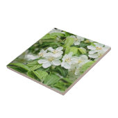 Lente bloesems tegeltje (Zijkant)