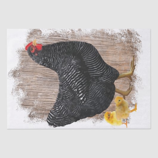 Lente Boerderij Hen Kippen Waterverf Tissuepapier (Voorkant)