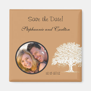 Lente Boom Bruin/Wit Aankondigingsmagneet Magneet