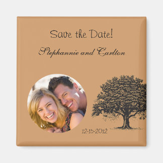 Lente Boom Bruin/Zwarte Aankondigingsmagneet Magneet