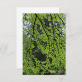 Lente boom gebladerte notitiekaartje (Voorkant / Achterkant)