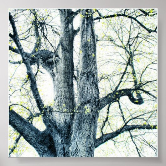 Lente boom poster (Voorkant)